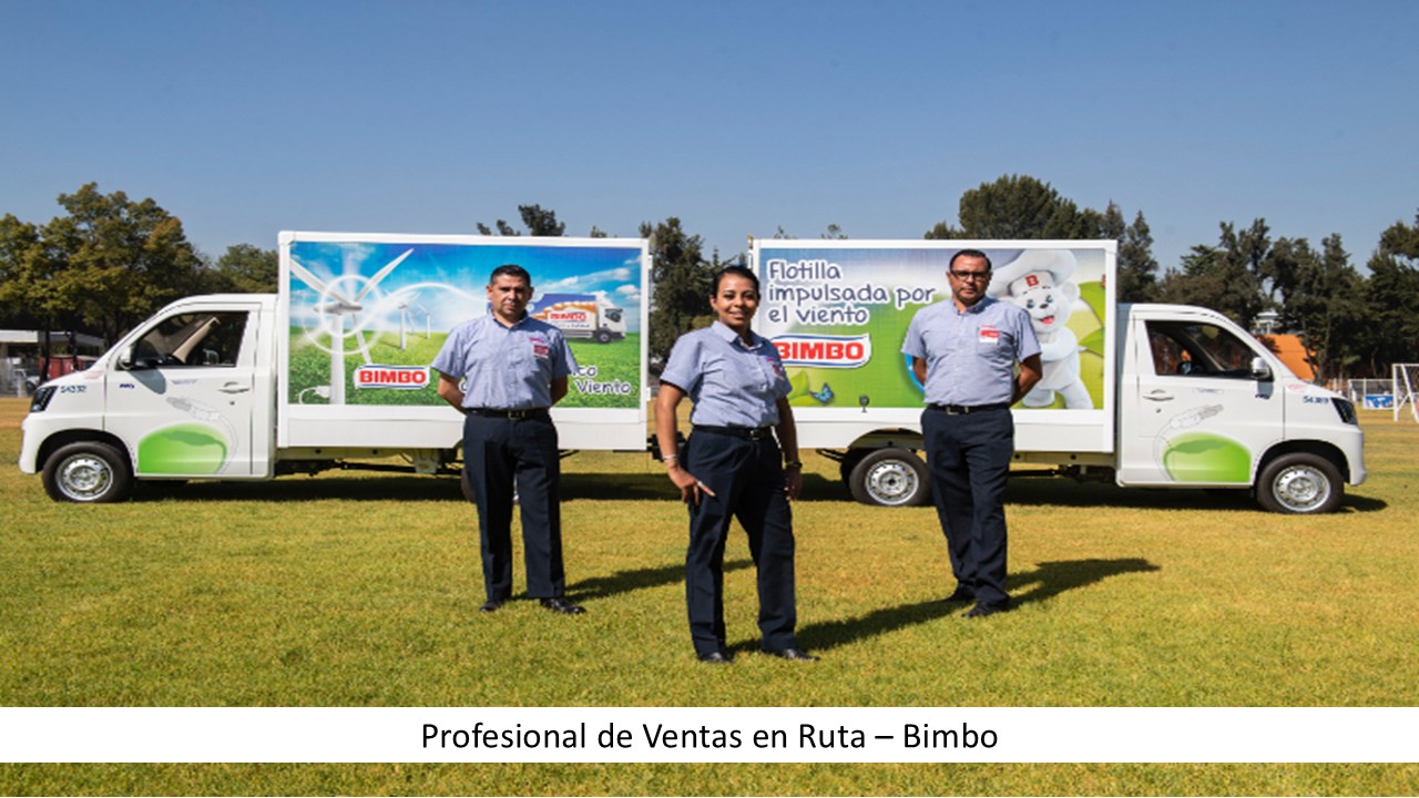 Profesional de Ventas en Ruta – Bimbo